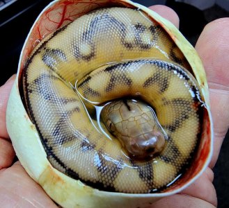 495573475_9782715785154710_5432926559942388156_n.jpg 495573475_9782715785154710_5432926559942388156_n.jpg