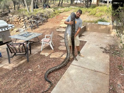 1000000800.jpg 1000000800.jpg